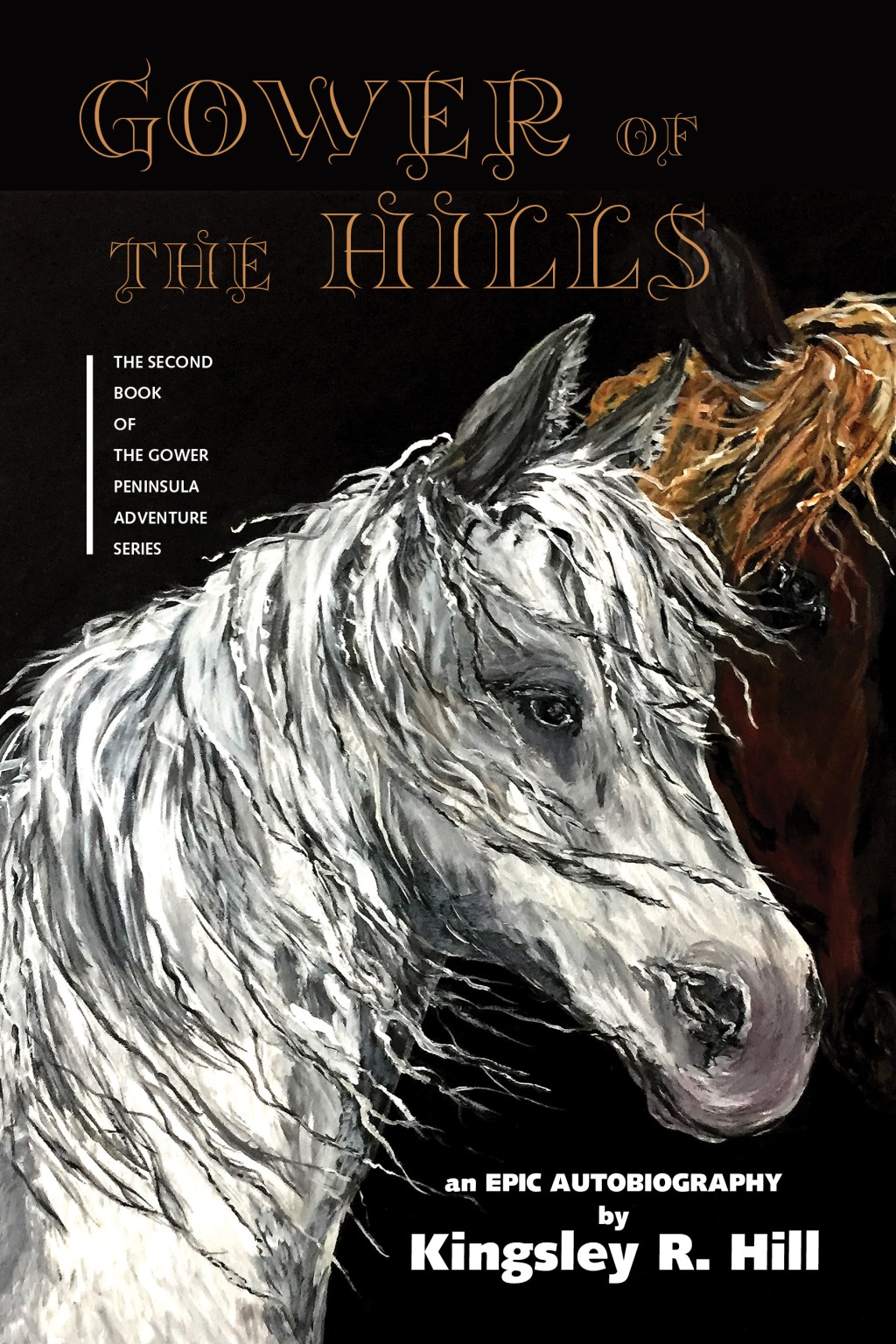 Gower of the Hills: Gower Peninsula Adventure&nbsp;Series