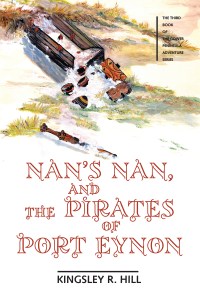 Nan’s Nan, and the Pirates of Port Eynon: Gower Peninsula Adventure&nbsp;Series